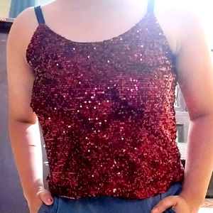 Shimmer Blouse Top