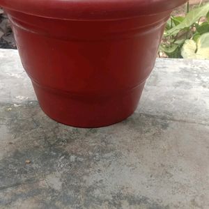 plant pot