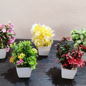 Colour Full Artificial Plants