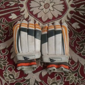 New Batting Gloves
