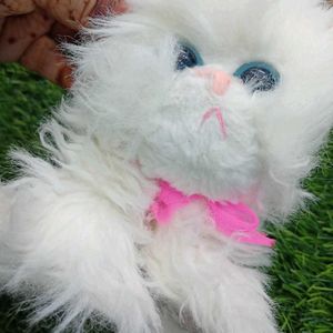 Cat Cuite Soft Toy