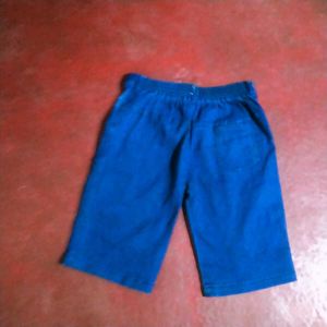 BEST NEW BRAND SHORT PANT