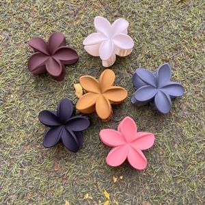 Cute Aesthetic Hair Clips