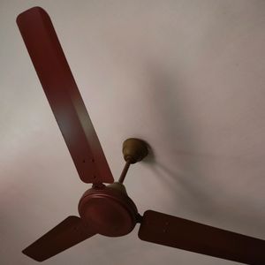 Usha Fan