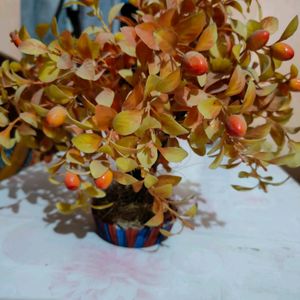 Plastic Orange Cherry Artificial Plant