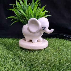 Mini 🐘 Elephant....