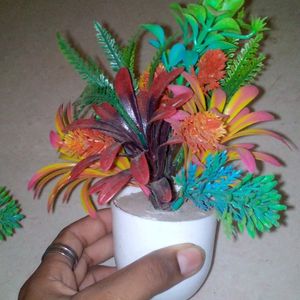 Home Decor Plant