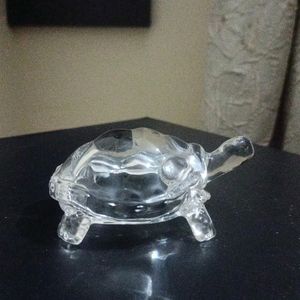 Glass Turtle For Show