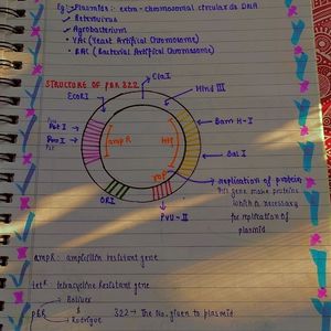 ZOOLOGY NOTES CLASS 12