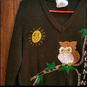 Owl 🦉theam Sweater