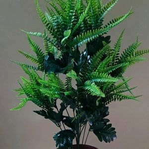 Artificial Plant (Only)