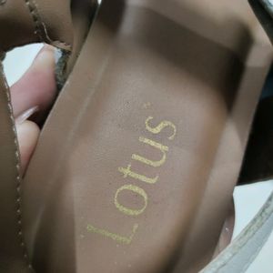 Lotus Shoe