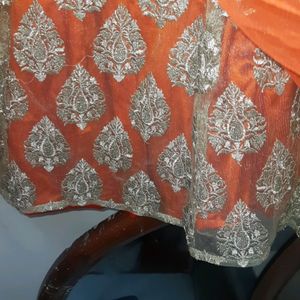 Beautiful Net Skirt With Jari Work