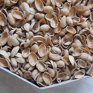 Pistachios Shells 2 Kg. Art Craft