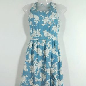 Blue And White Dress (Women's)