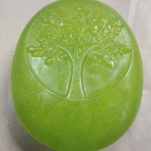 Aloevera Soap