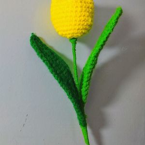 Blooming Crochet Tulips🌷