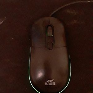 Wired Rgb Mouse