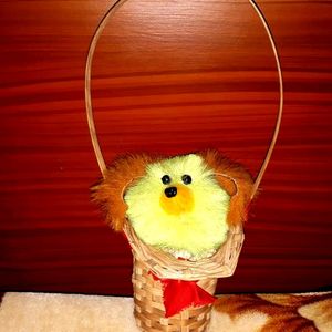 Cute Teddy In Bamboo Basket