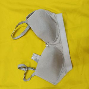 Branded Bra 32C