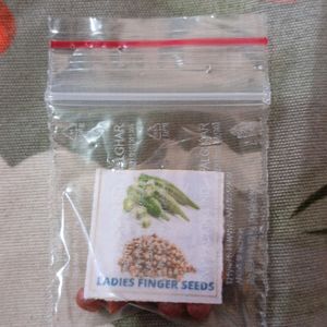 Combo Of 8 Vegetables Seeds