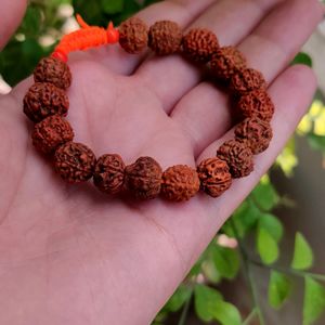 Panchmukhi Rudraksha Bracelet