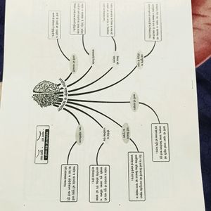 Quick Revision Notes Of All Subjects 10th