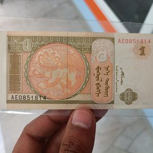 Mangolia Currency Note