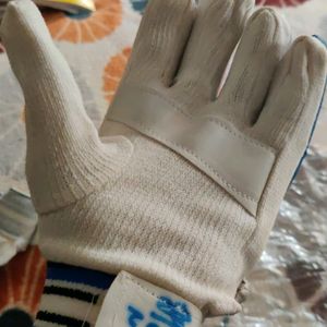 Cricket Hand Gloves