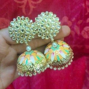 Multi Colour Earings