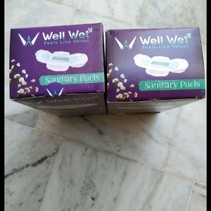 Wellwet Pads 2 Box