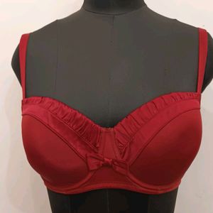 Branded Padded Bra 34E