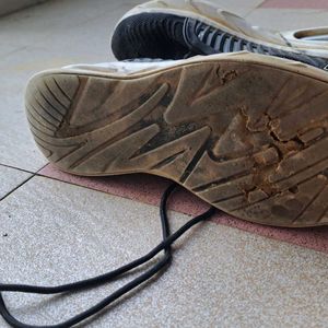 Sketchers Shoe