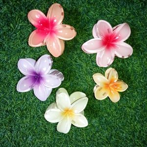 Korean Flower Claw Clips