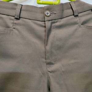 Brown Low Waisted Formal Pants