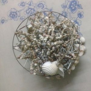 Natural Sea Shell Wall Hanging/ Jhoomer