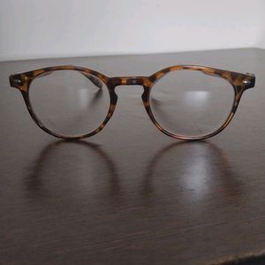 Animal Print Cat Eye Frames