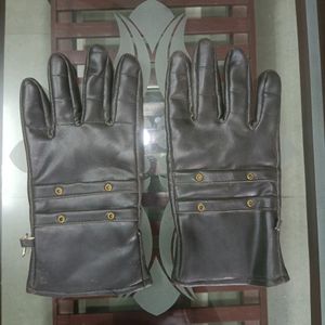 Winter Gloves