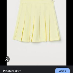 Pleated Skirt