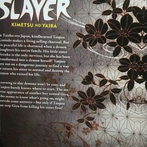 Demon Slayer Vol.1