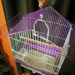 Bird Cage New