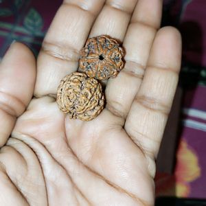 Rudraksha With Vibhuti &kala Dhaga