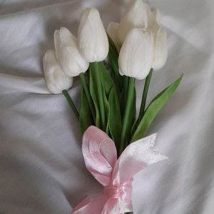 Aesthetic Tulips Pack Of 5