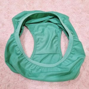 Sea Green Panty (Used)