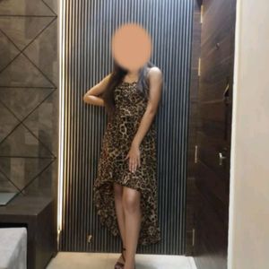 Leopard Print High Low Dress