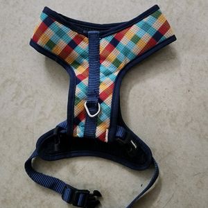 Puppy Harness and Red Collar