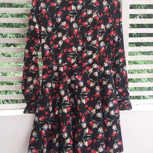 ZARA floral button down dress