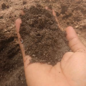 Compost Manure For Plants