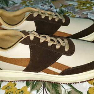 The Aurous Leo Laceup Sneakers - Brown Edition