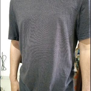 H&M Men Tshirt Dark Brown Long Slim Fit (M)